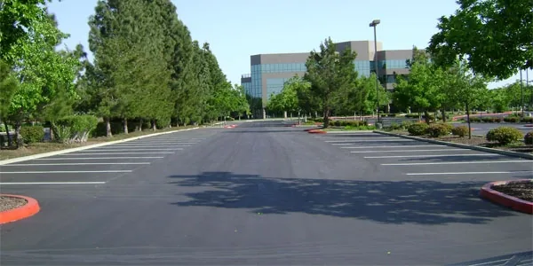 Freshly paved and striped office-park parking lot lined with trees